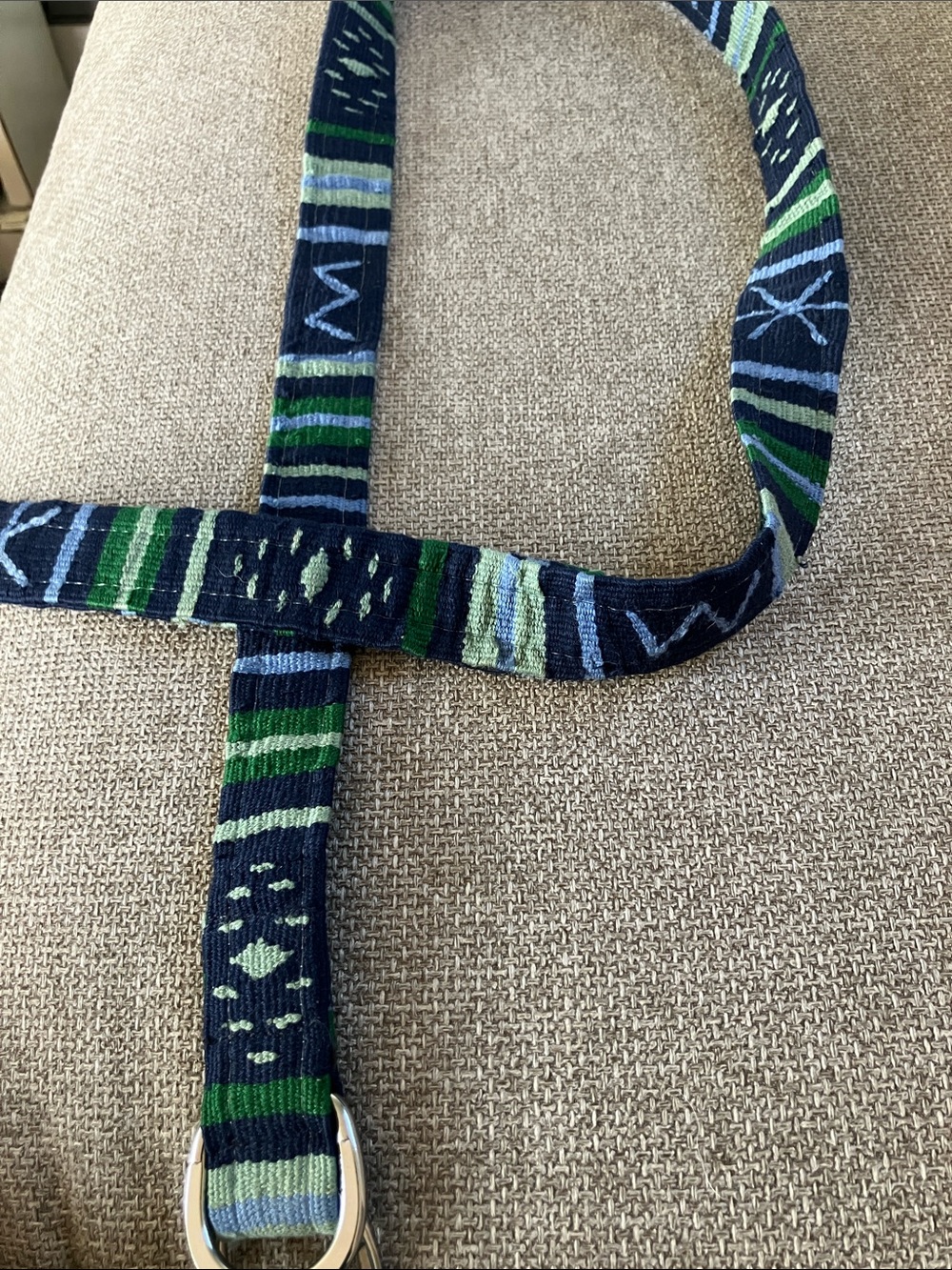 A Tail We Could Wag Woven Belt